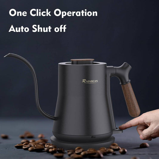 Leak-Proof Gooseneck Electric Kettle for Coffee Brewing, Stainless Steel
