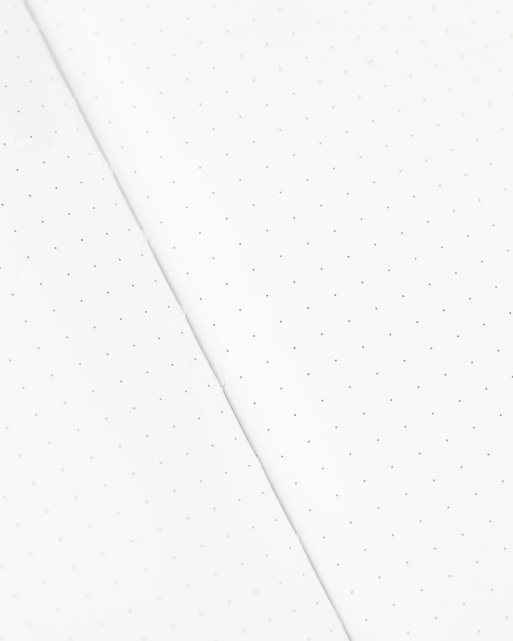 Journal - Cactus & Succulents