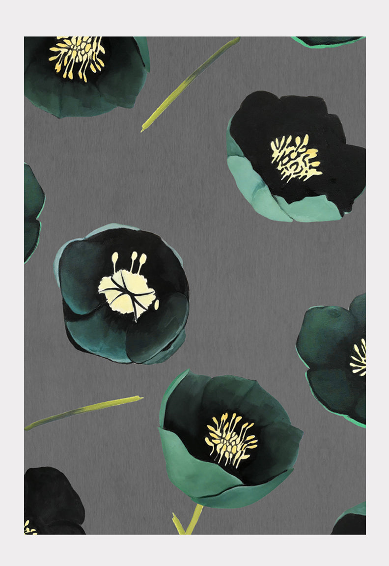 Art Print: Green Winter Rose on Charcoal