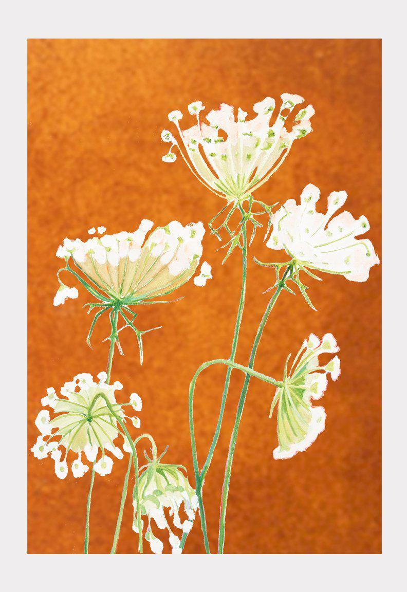 Art Print: Queen Anne's Lace on Rusty Orange