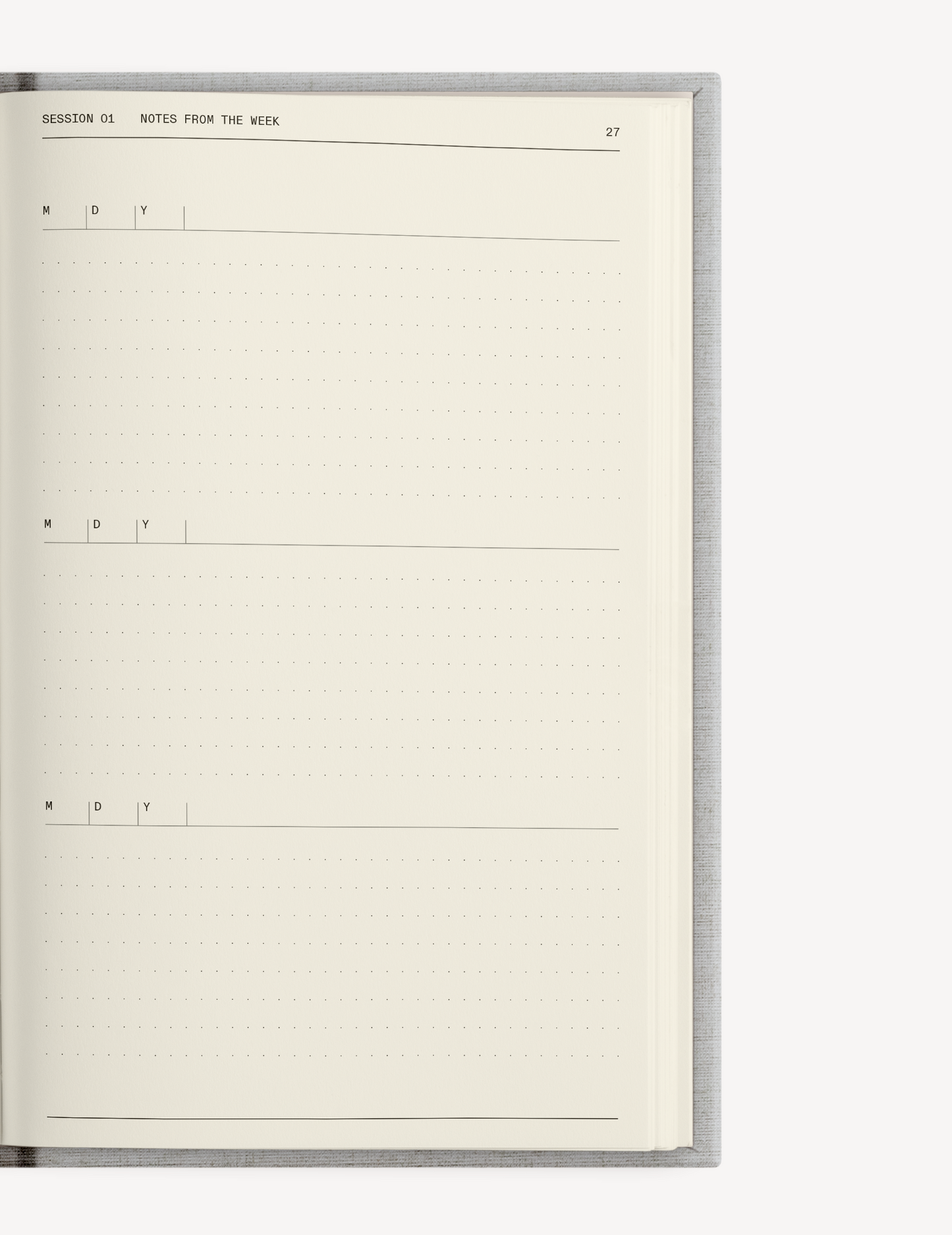 The Therapy Companion Set