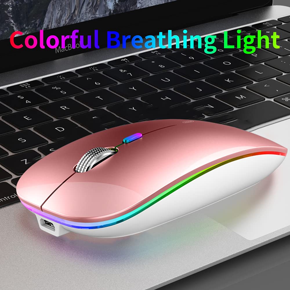 LED Wireless Mouse, G12 Slim Rechargeable Silent Mouse, 2.4G Portable USB Optical Wireless Computer Mice with USB Receiver and Type C Adapter