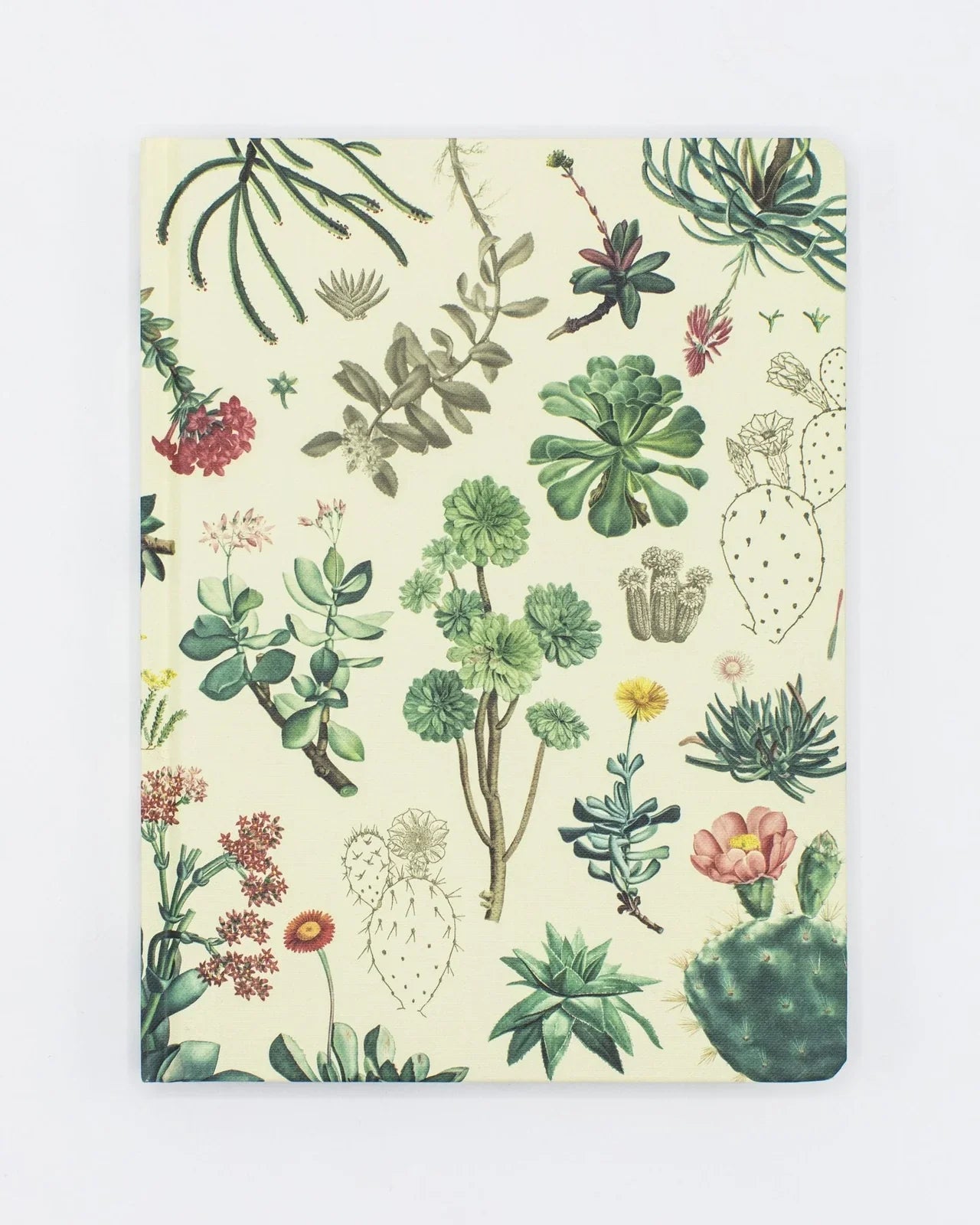 Journal - Cactus & Succulents