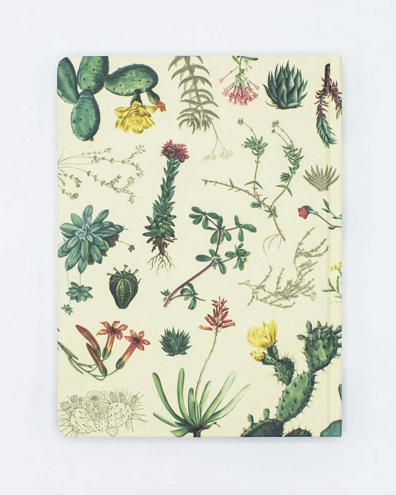 Journal - Cactus & Succulents