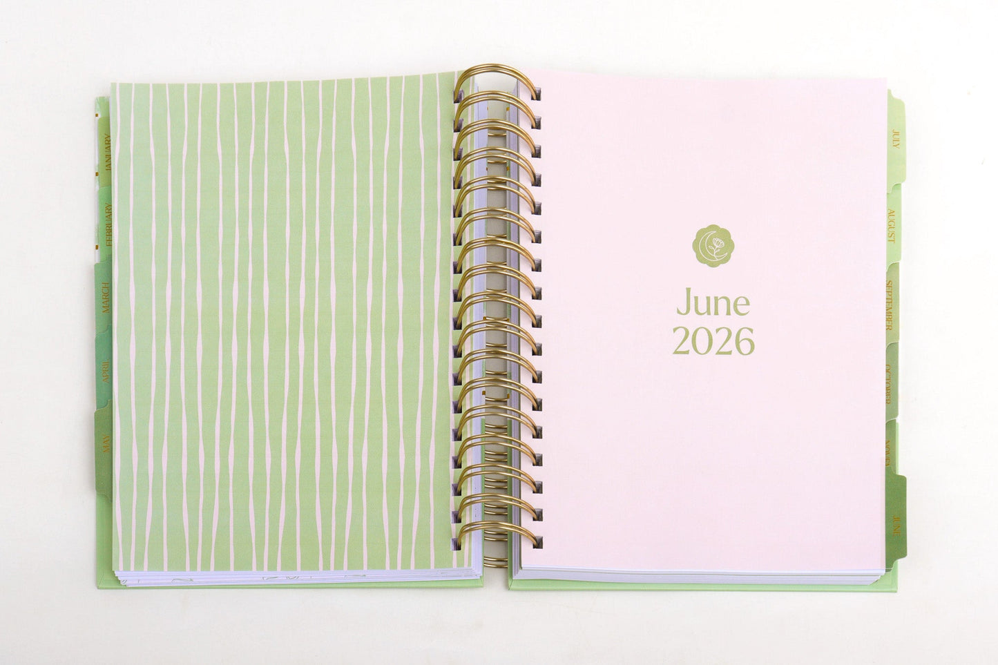 The Ultimate Planner