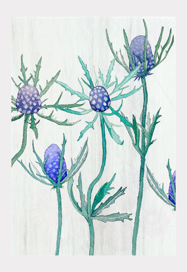 Art Print:  Purple Thistle on Snow