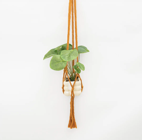Mini Flourish Plant Hanger Mustard