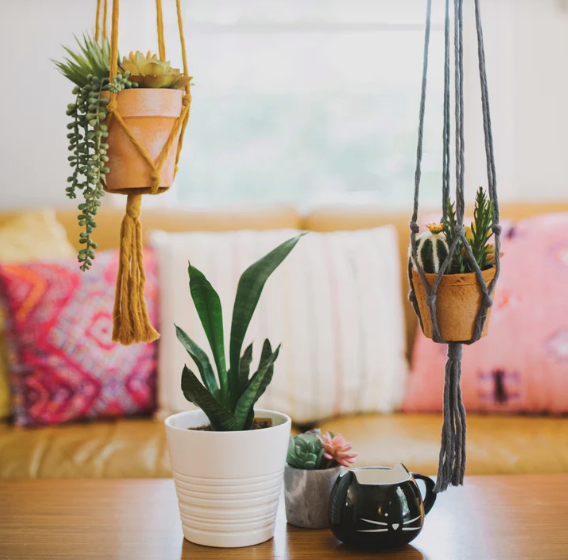 Mini Flourish Plant Hanger Mustard