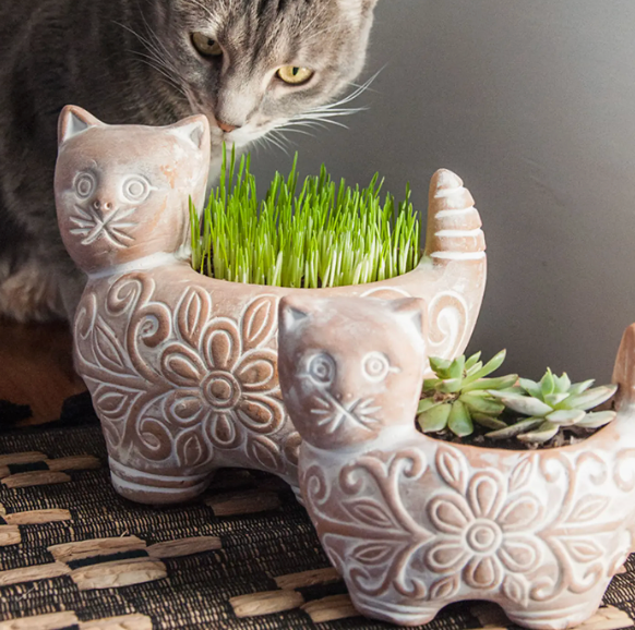 Garden Kitty Planter