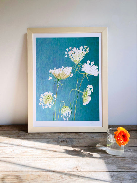 Art Print:  Queen Anne's Lace on Teal