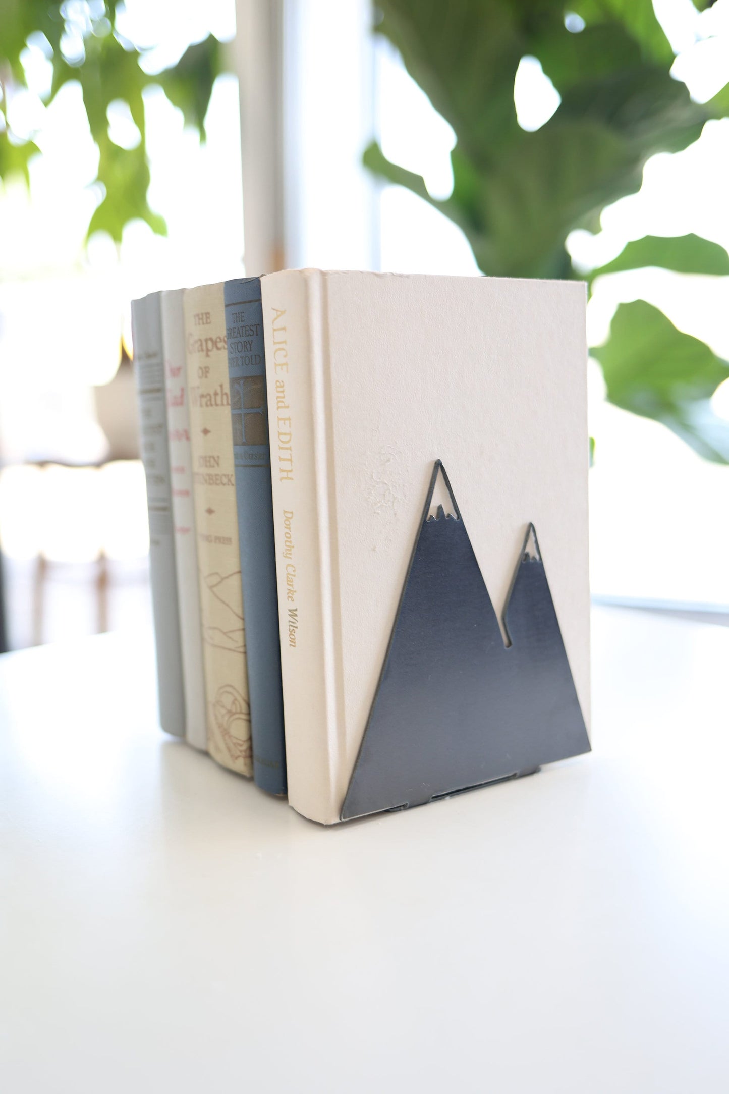 Mountain Bookend